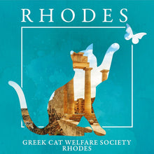 Load image into Gallery viewer, Official GCWS Rhodes Dream Cat T-Shirt Ladies Custom Signs from Twofb.com signs for bars
