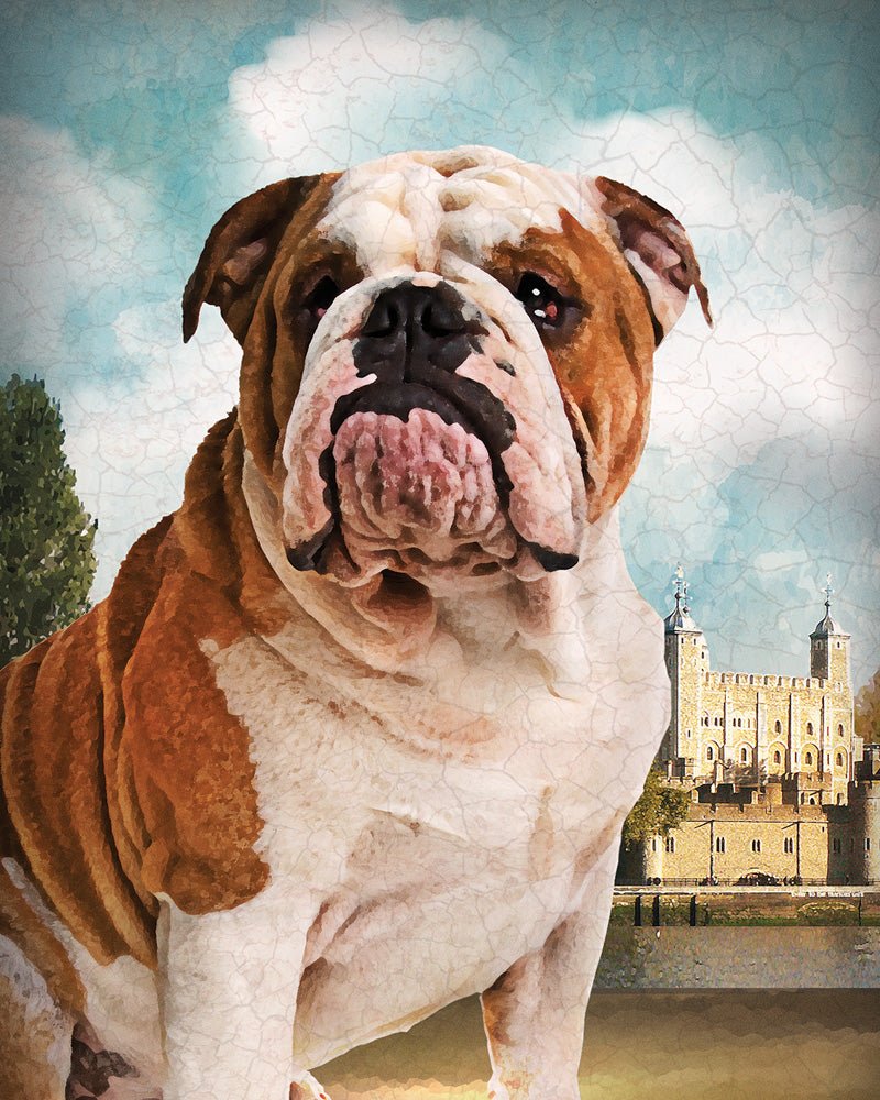 Old Bull Dog artwork on Canvas Custom Signs from Twofb.com signs for bars