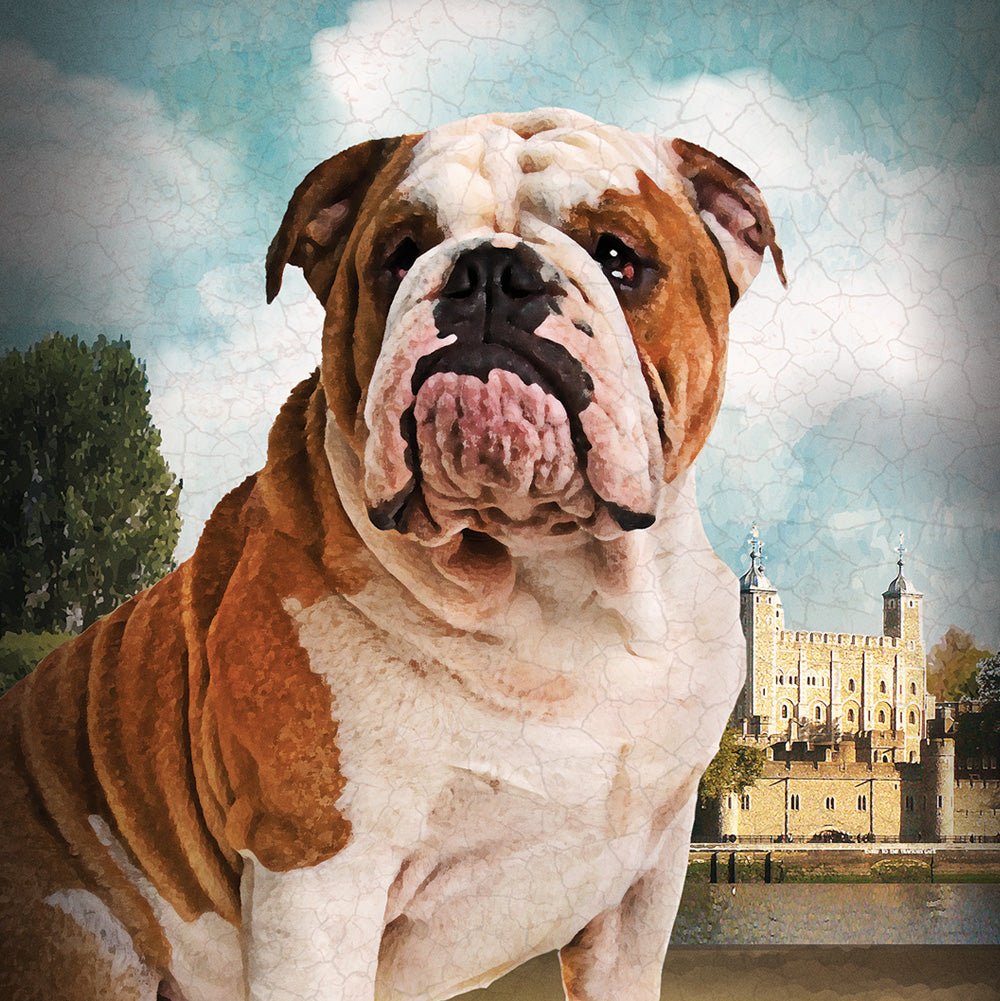 Old Bull Dog artwork on Canvas Custom Signs from Twofb.com signs for bars