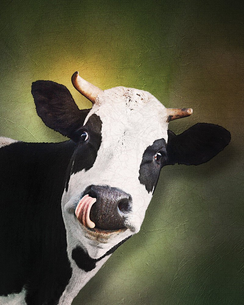 Tipsy Cow artwork on Canvas Custom Signs from Twofb.com signs for bars